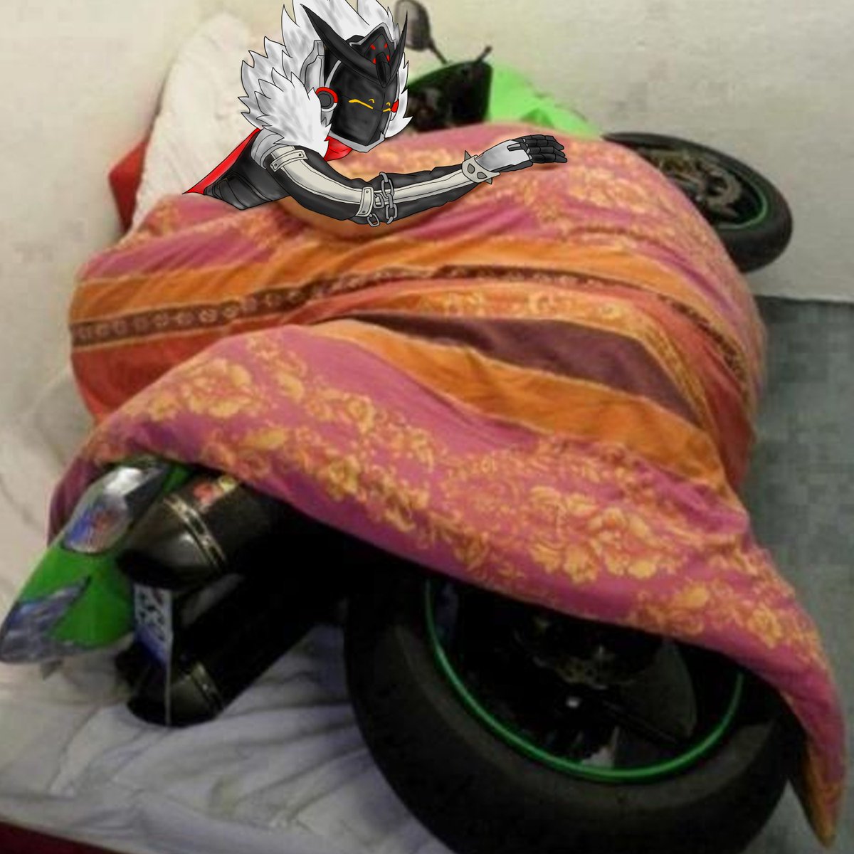 ㊙️ElChafa XD ㊙️ tweet media