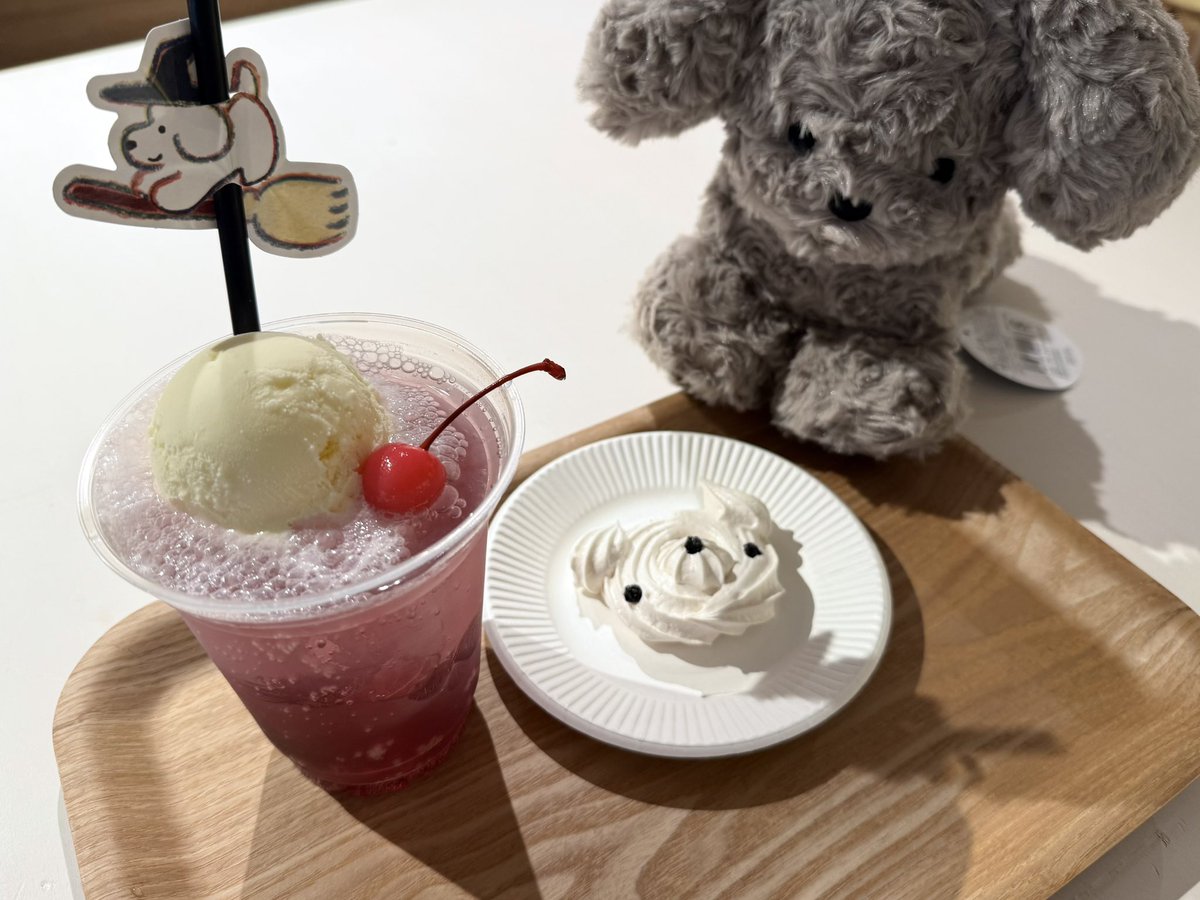 福岡のめぐ tweet media