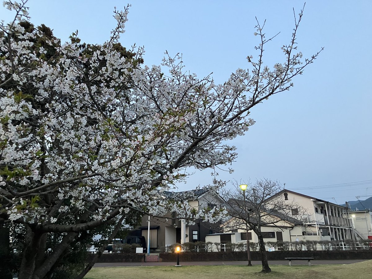 前田兄弟 tweet media