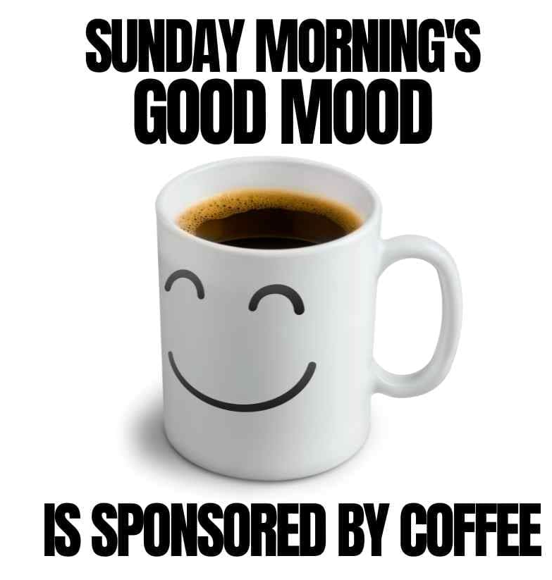 German-Journey tweet media