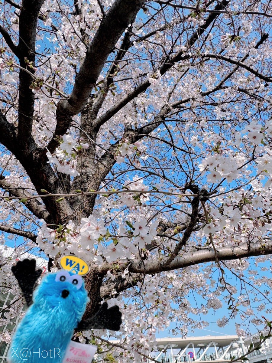 ほとりー tweet media