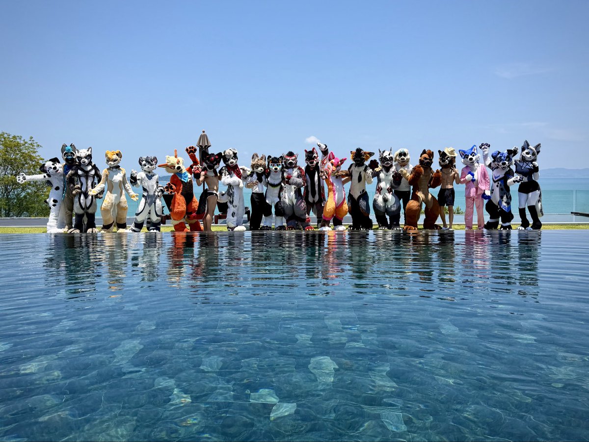 CASSIUS - FWA tweet media