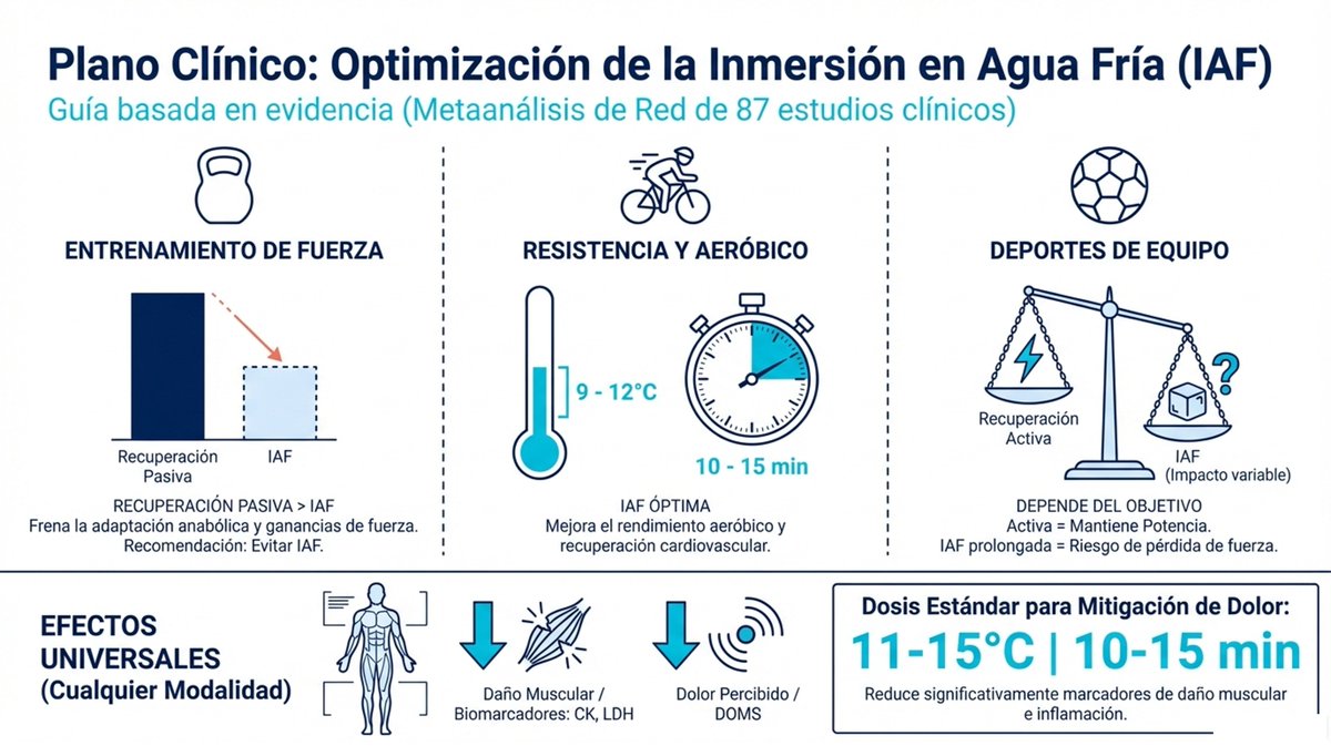 José López Chicharro tweet media