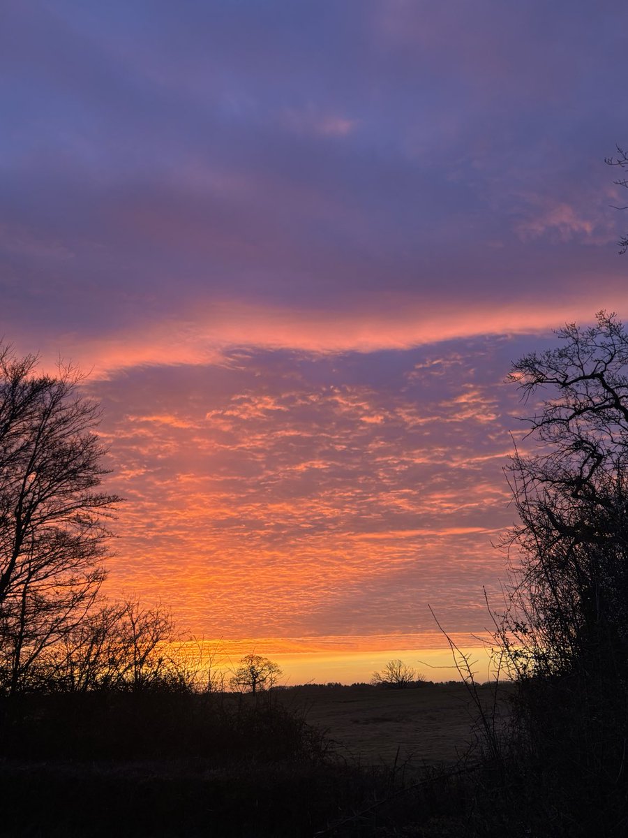 DevilMayCare tweet media