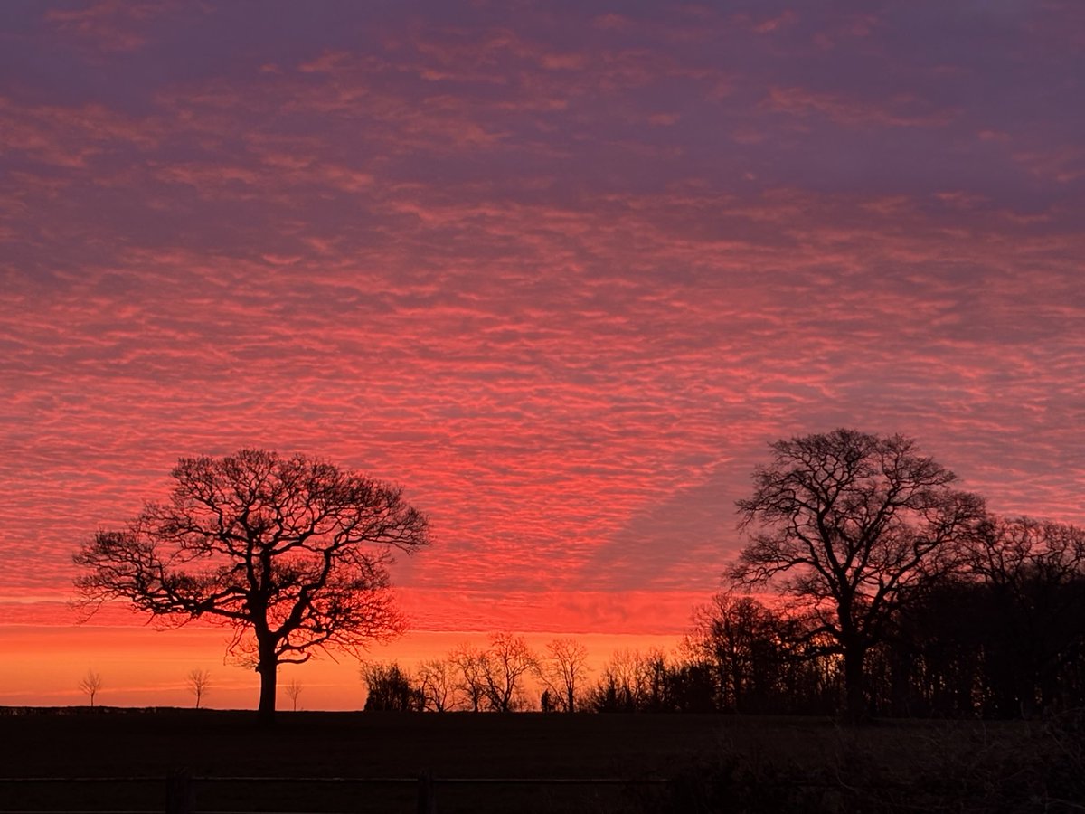 DevilMayCare tweet media