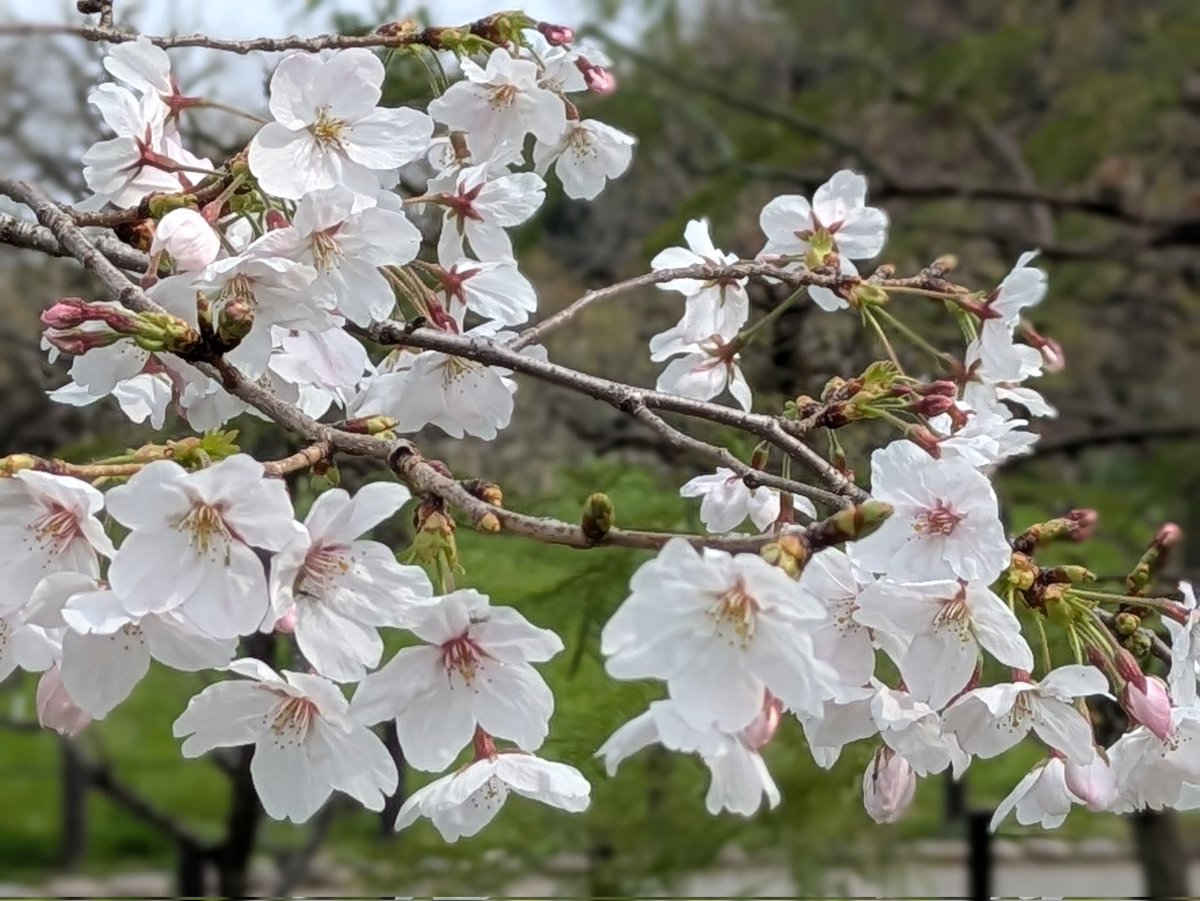 マルホ総研【補助金助成金の情報提供】 tweet media