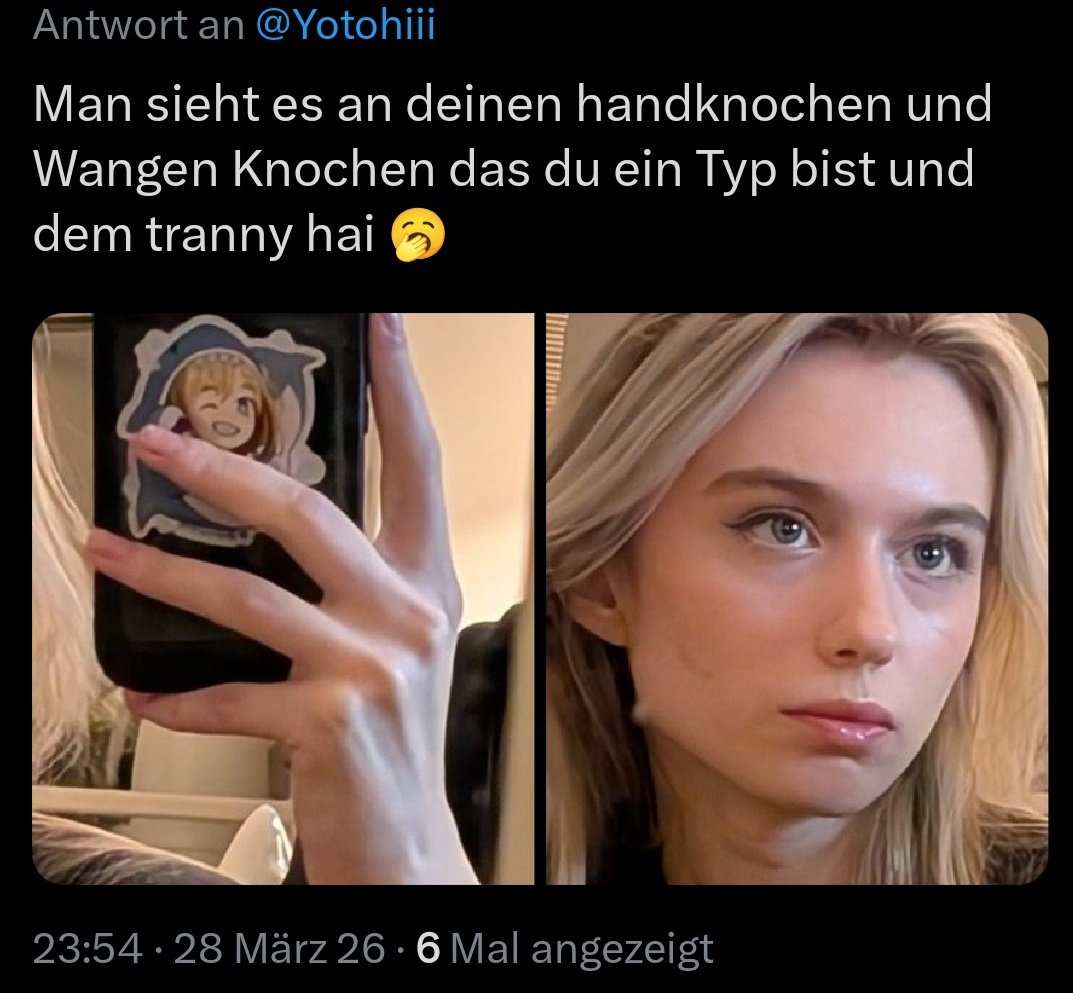 Yotohi 🦈 tweet media