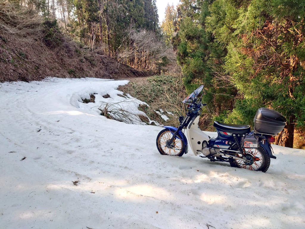 サラマンダーカブ tweet media