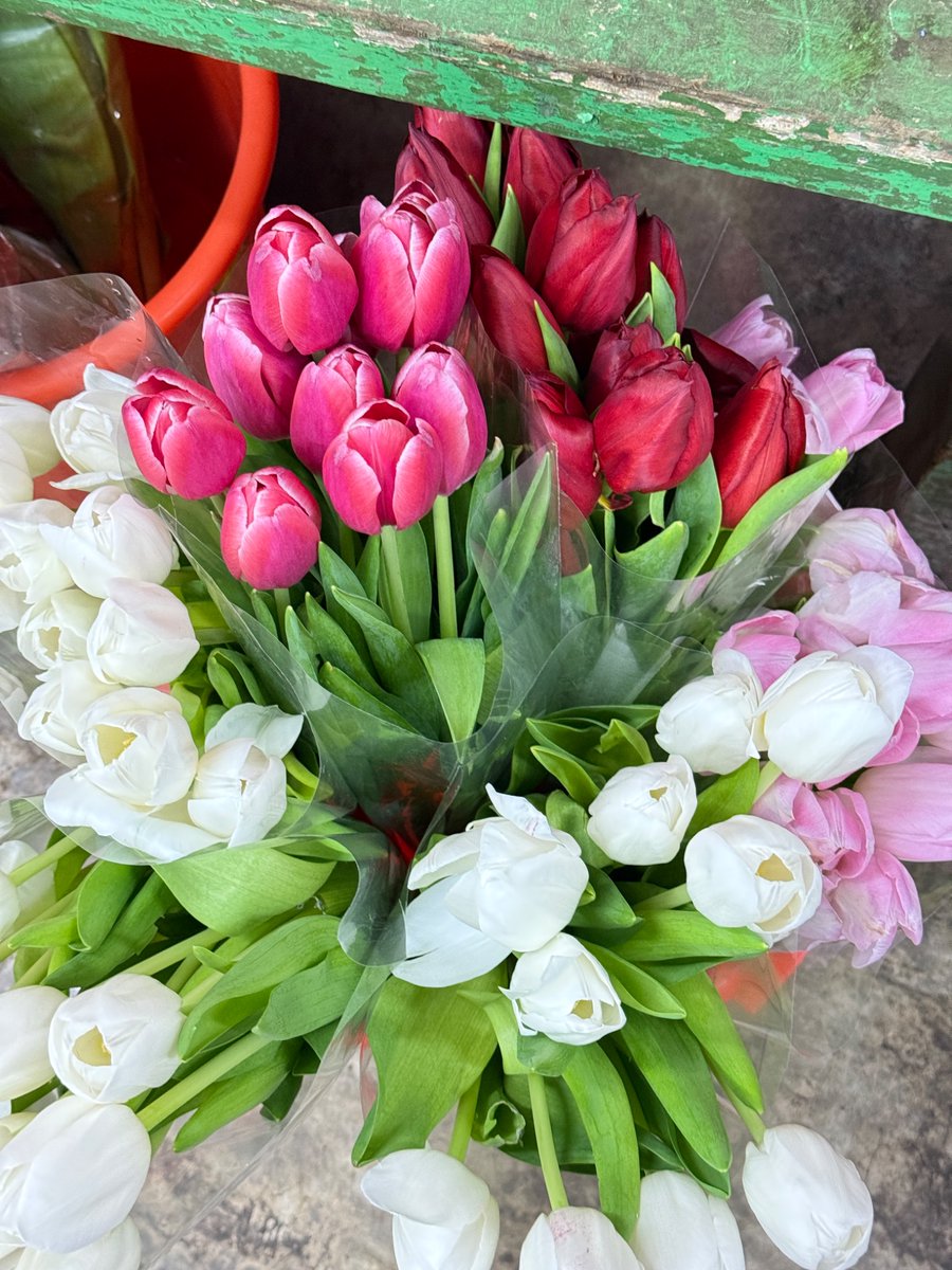 nisya 🍉 tweet media