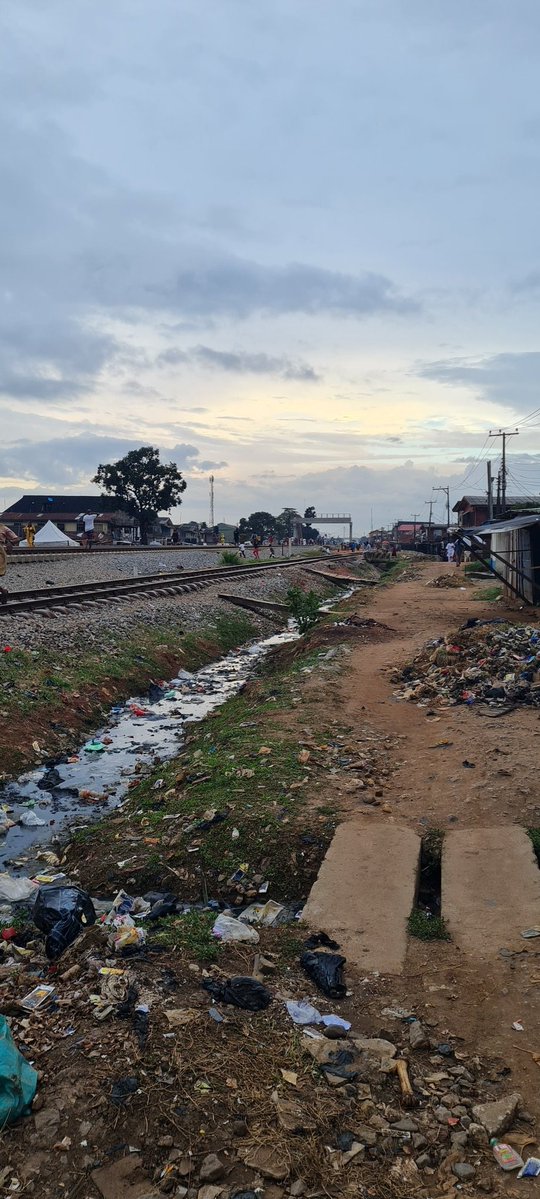 Toyyib Adewale Adelodun tweet media