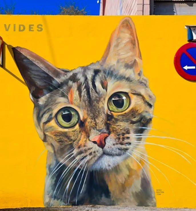 Pınar Pınarcık tweet media