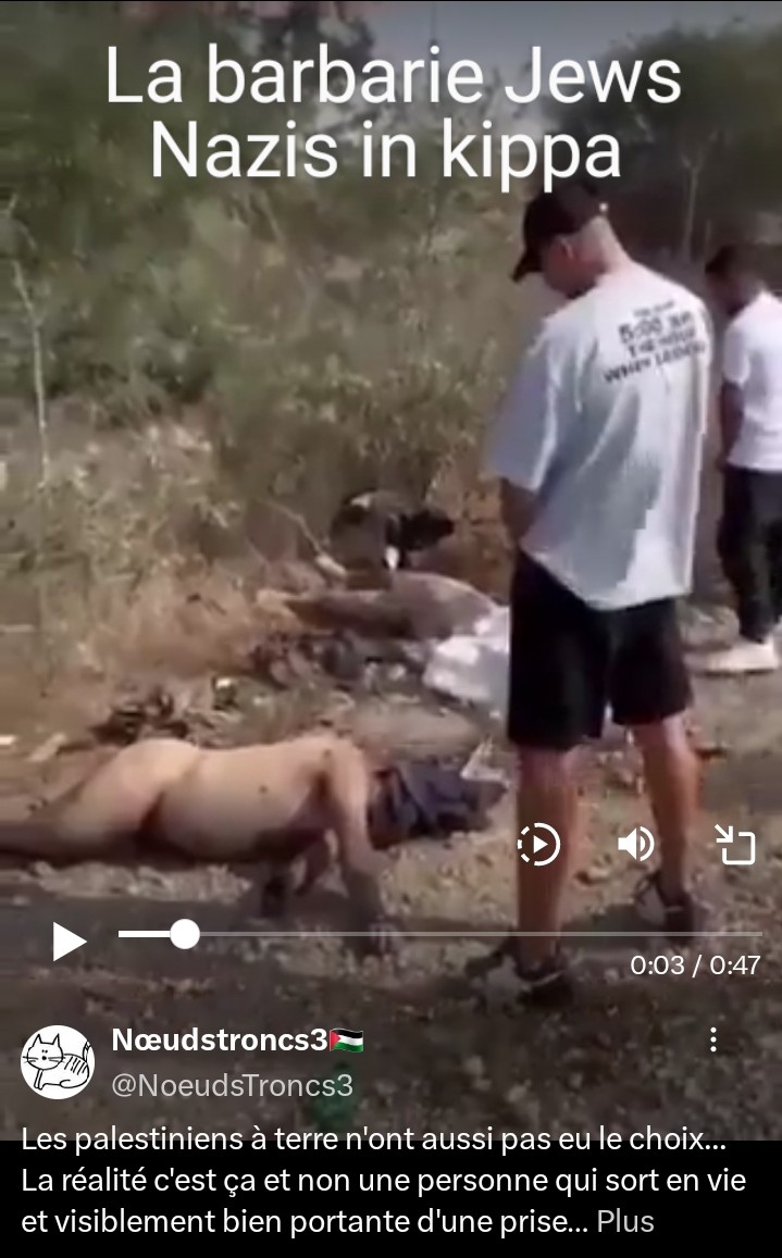 le gorette tweet media