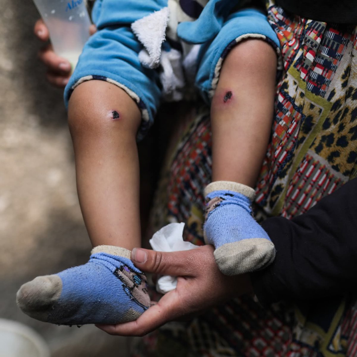 le gorette tweet media