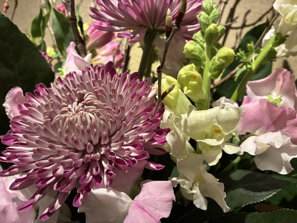 ポパイ tweet media