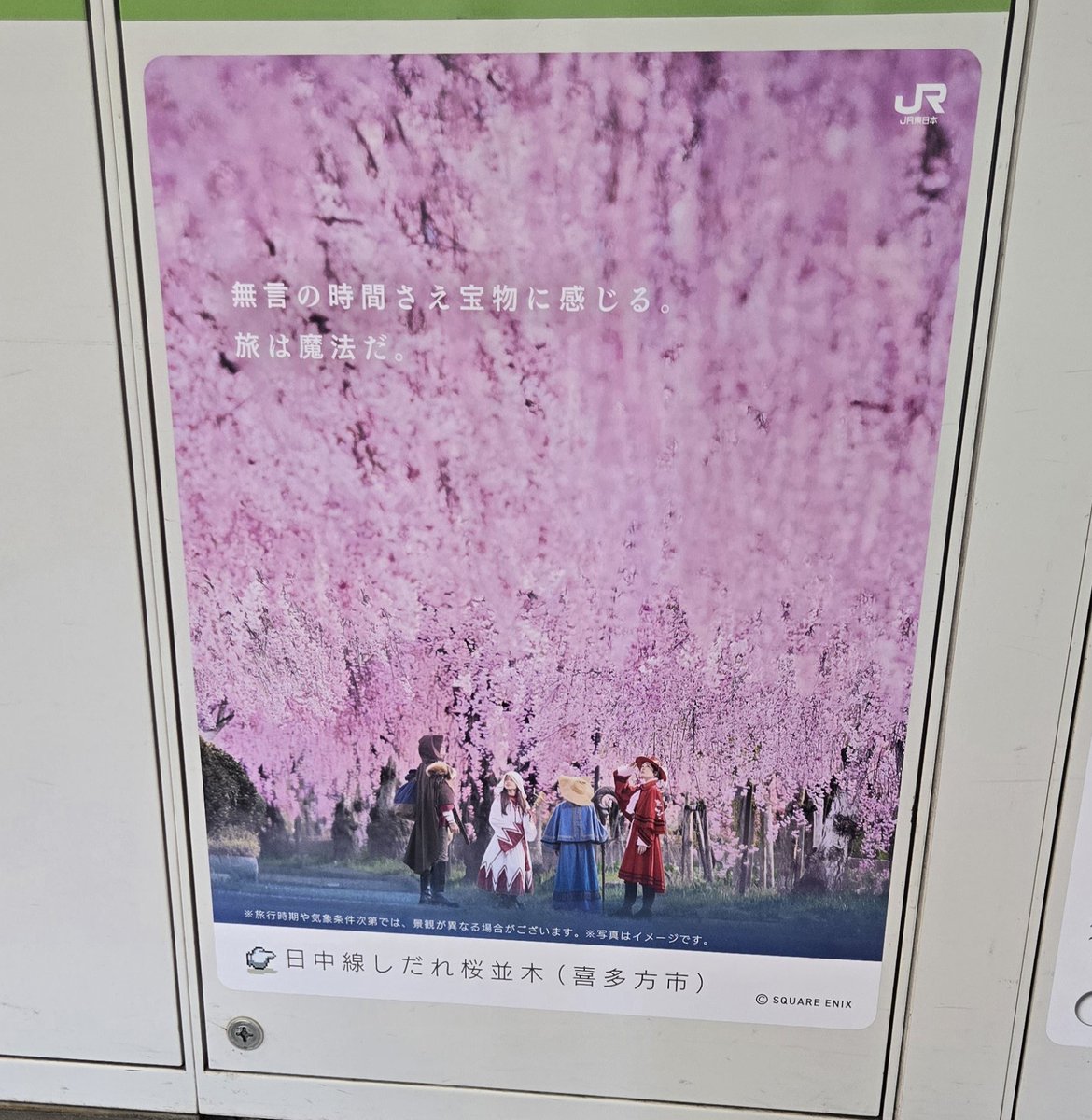 べティ tweet media