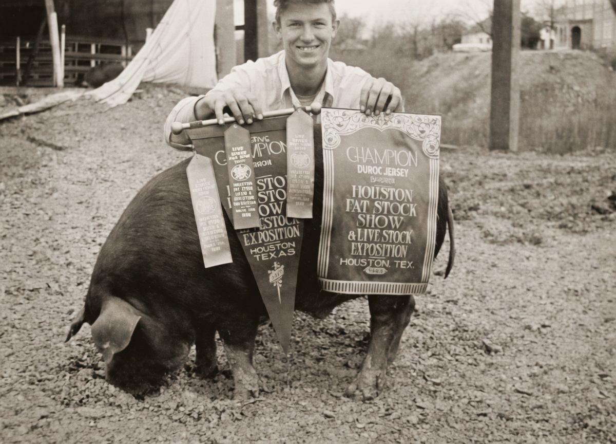 Traces of Texas tweet media