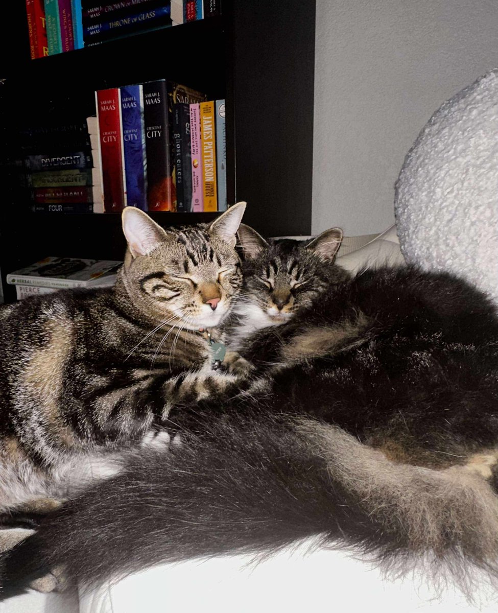 Craig S. C. Okajima tweet media