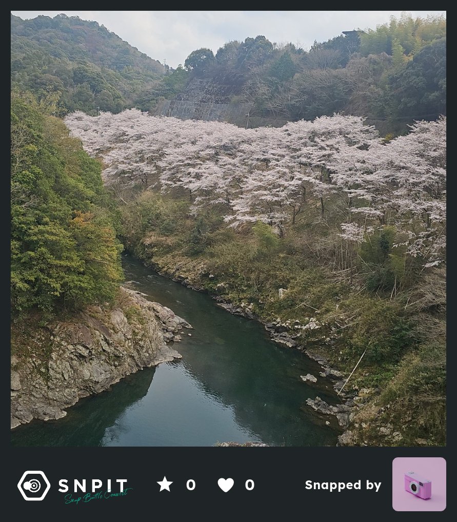 donbe:|| tweet media