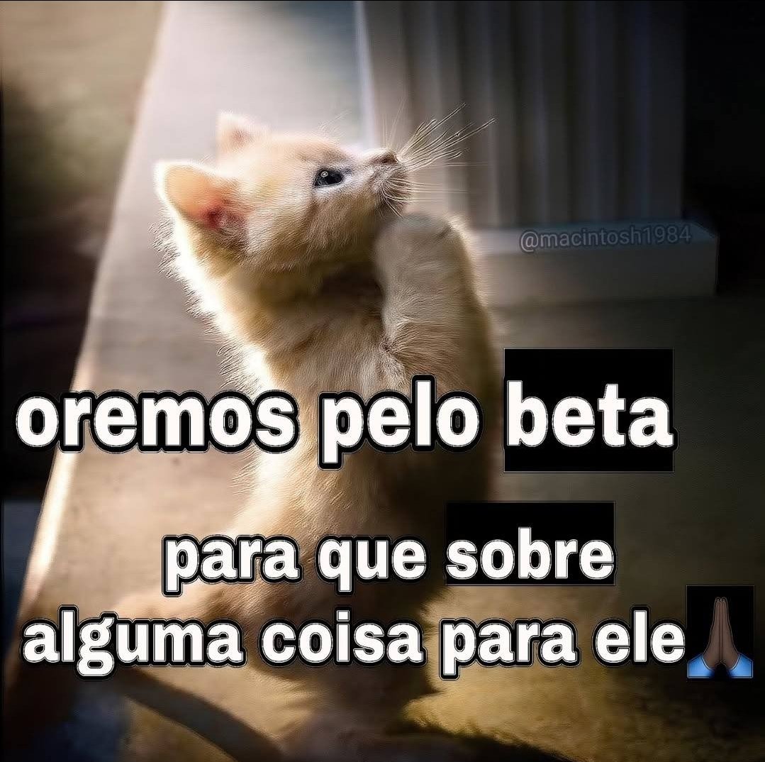 the lacerda🇭🇺 tweet media