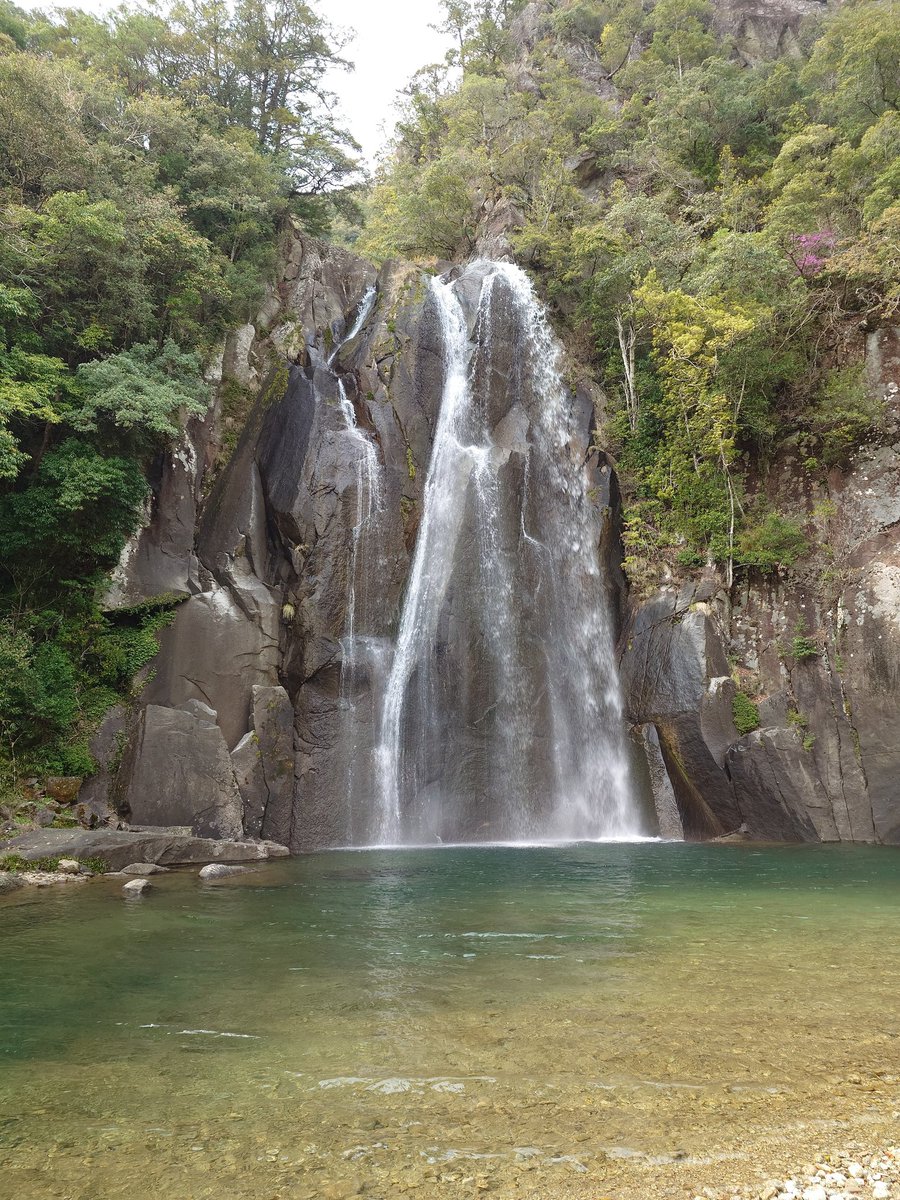 猫バス tweet media