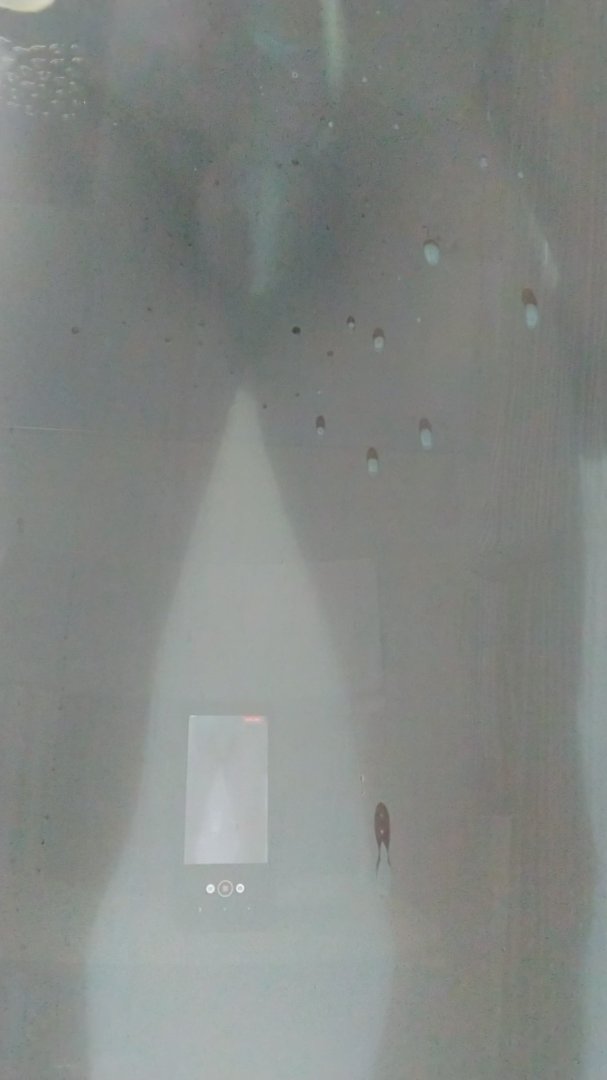 Bigboy69m tweet media