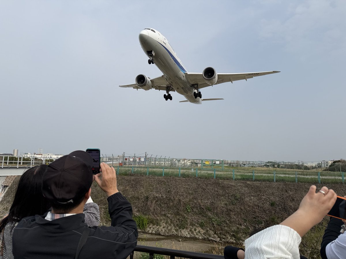 🍎むつ@毎月ブルベ継続中2025/4~ tweet media