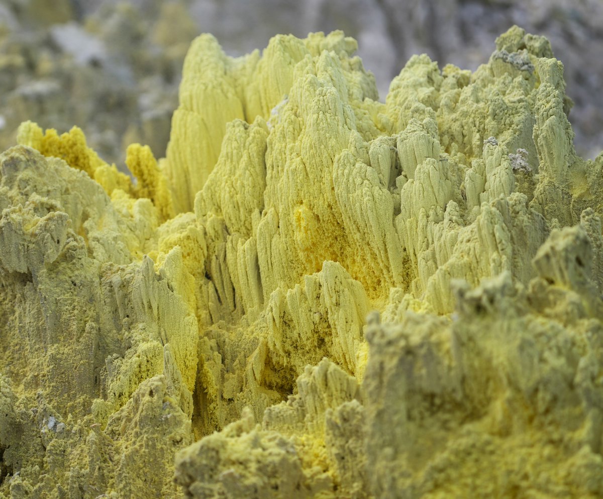 Jean-Baptiste Jeangène Vilmer tweet media