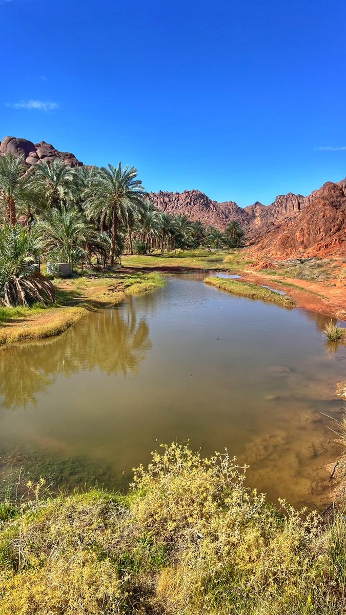 عبدالكريم الخلف tweet media