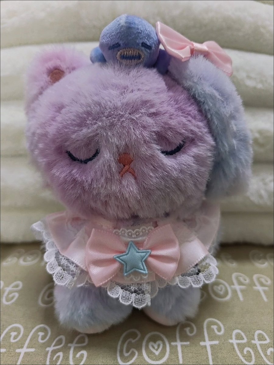 link 🍊 cek pinned tweet media