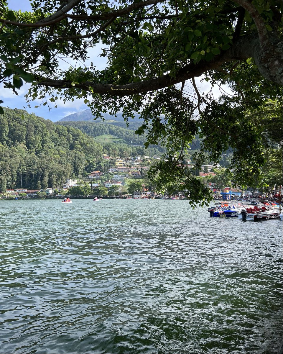 むーも tweet media