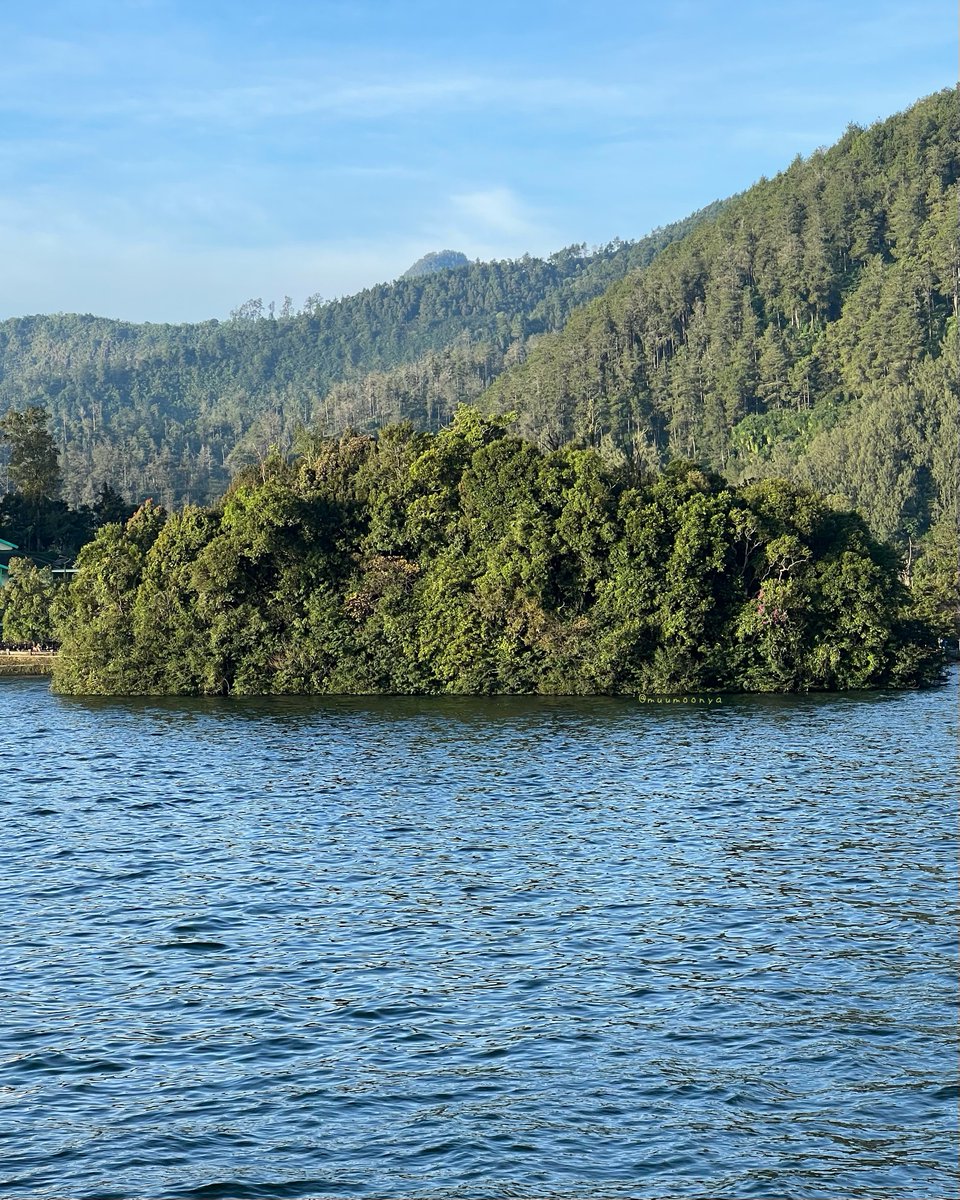 むーも tweet media