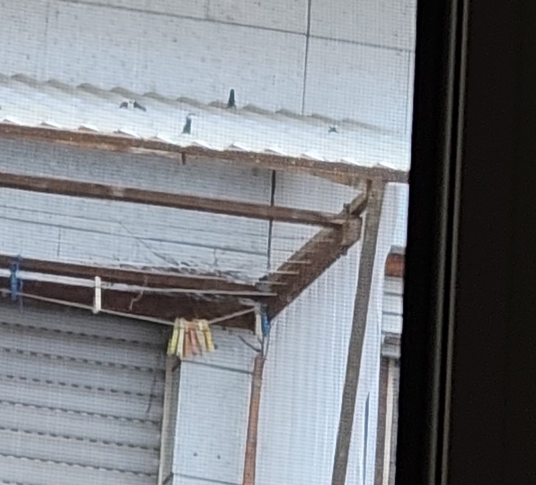 BlueShadez tweet media