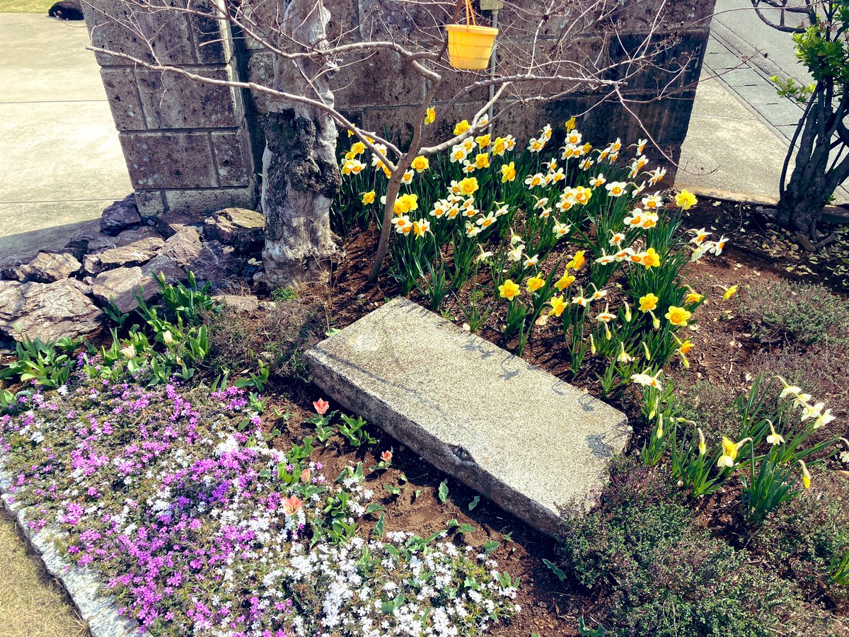 とと｜ある父の歩み tweet media