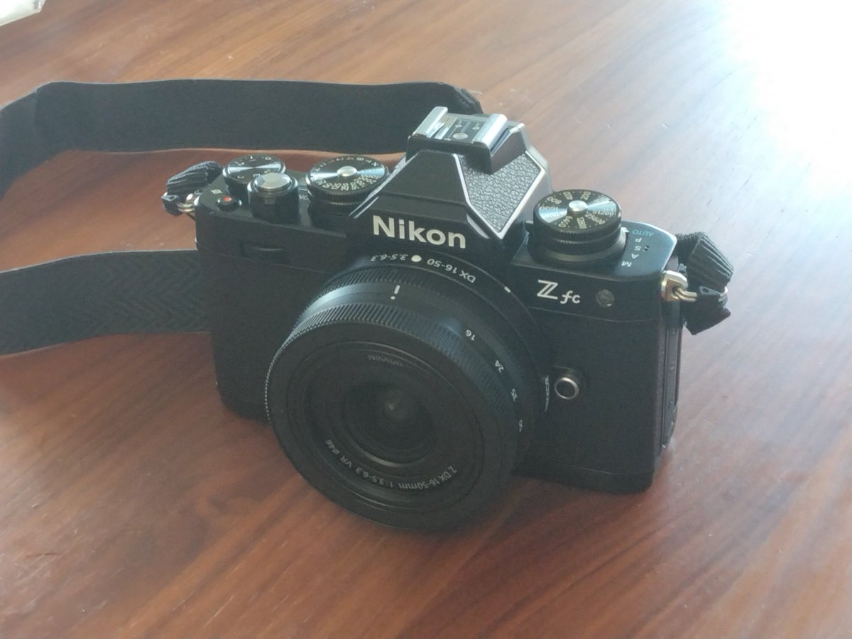 れんこんざむらい tweet media