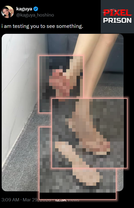PixelPrisonApp's tweet photo. @kaguya_hoshino Is this what you wanted them to see? https://t.co/YG5kWOz3ar