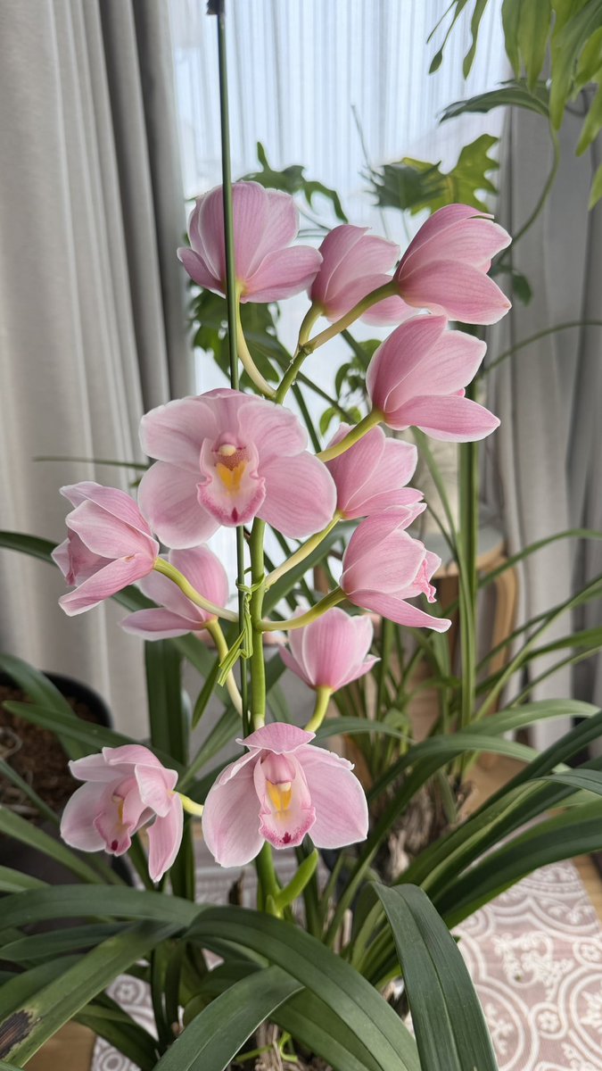 Deathvalley69 tweet media