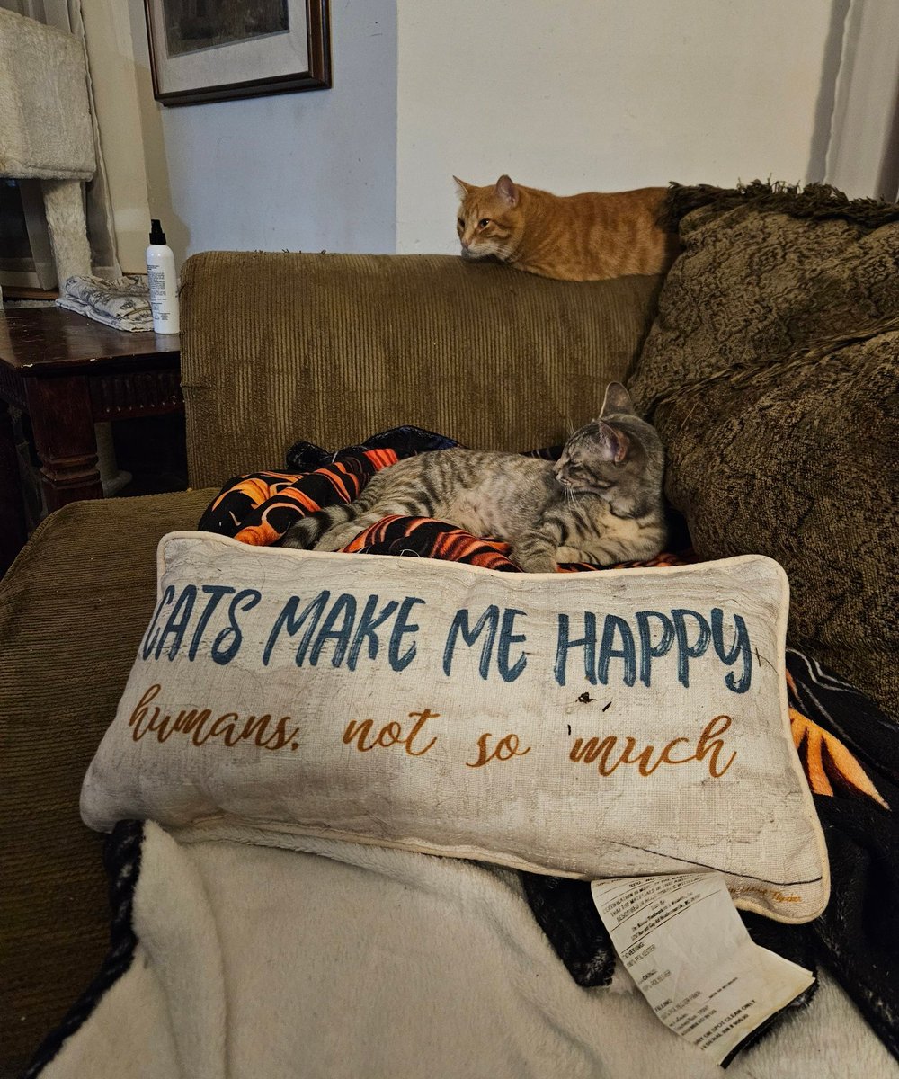 @tech-savy_BoomerBitch tweet media