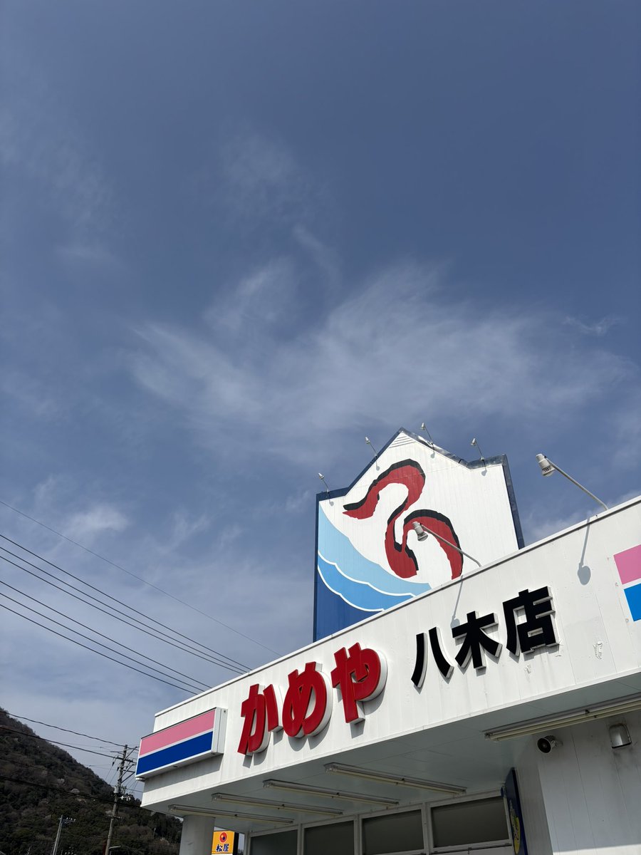 y@suco. 𓆜𓆝 tweet media