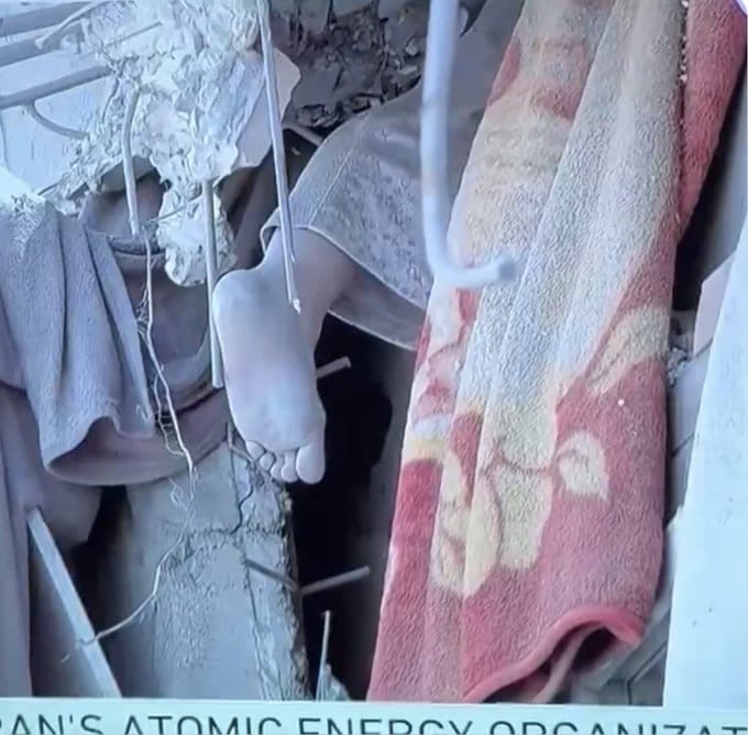 Muhammad Shehada tweet media