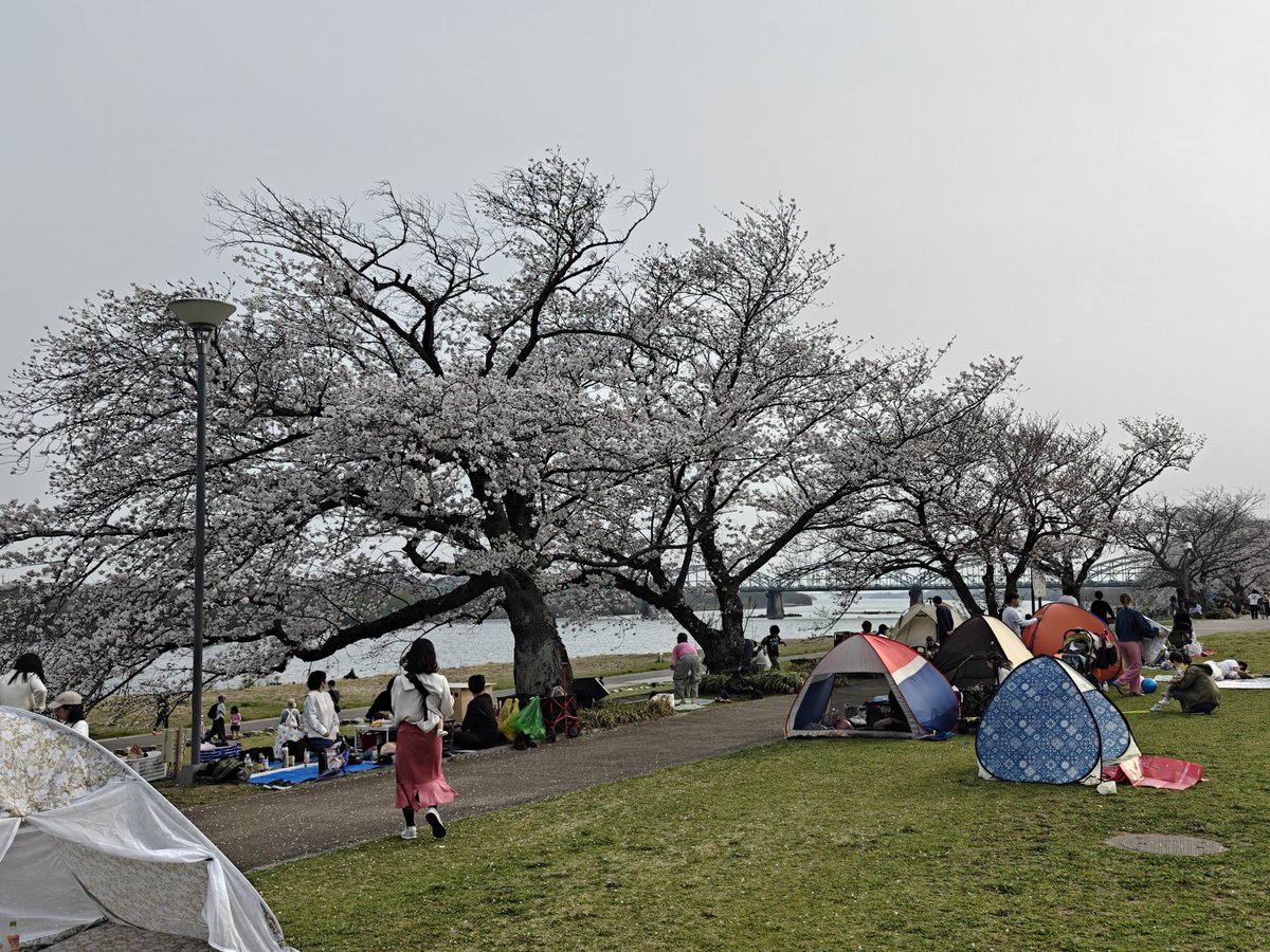 れんちょん💚♥🤍 tweet media