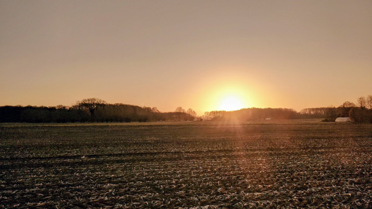 Luc Lambert tweet media