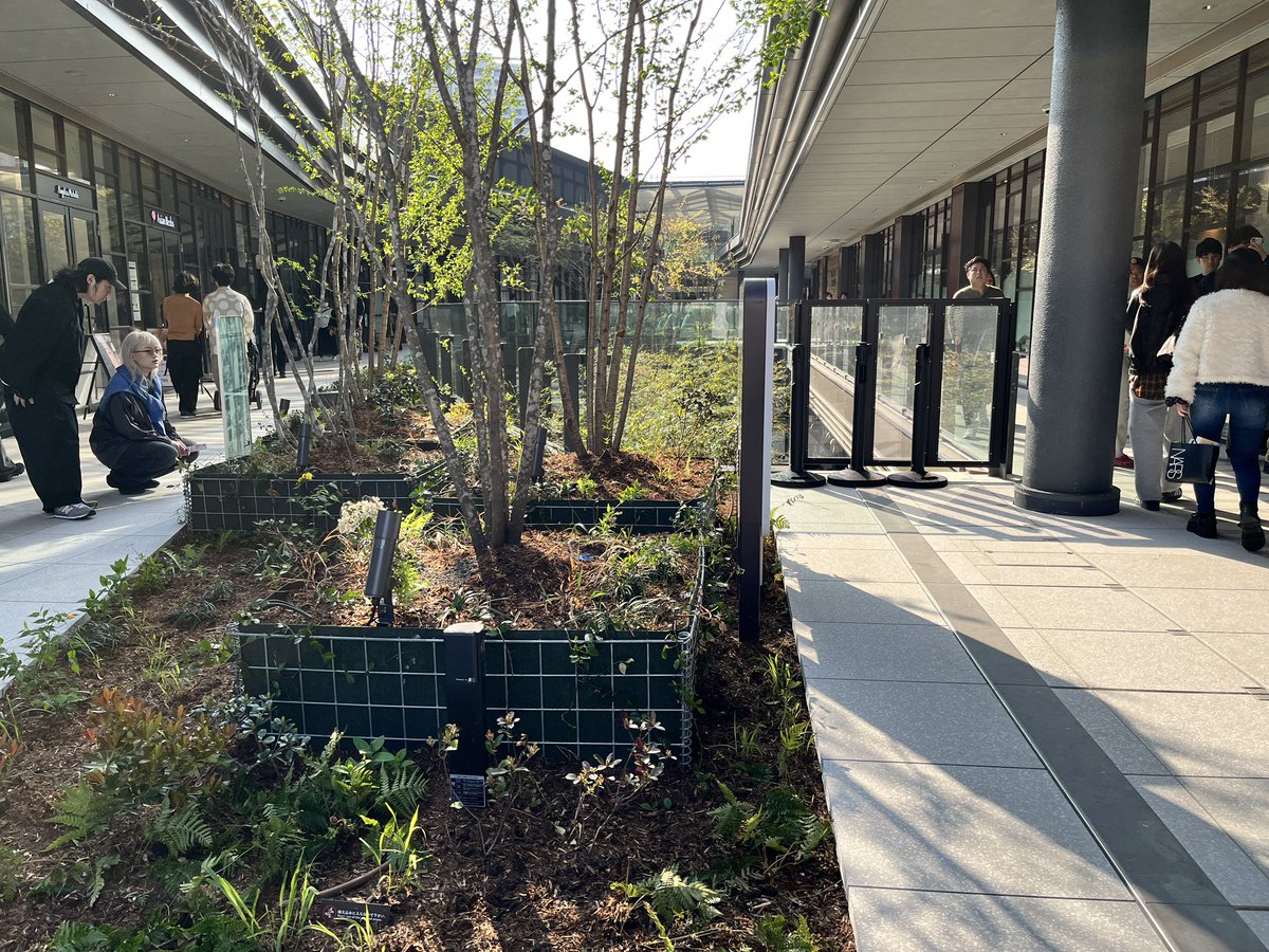 Mr.Densha tweet media