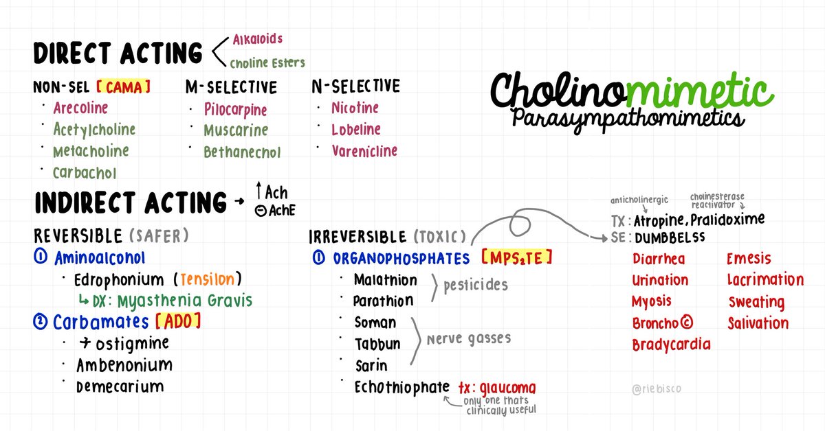 rie, fRPh 🍀 tweet media