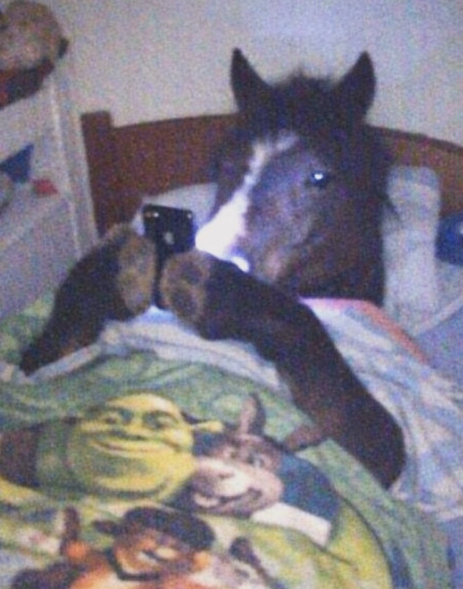 Лиса™ tweet media