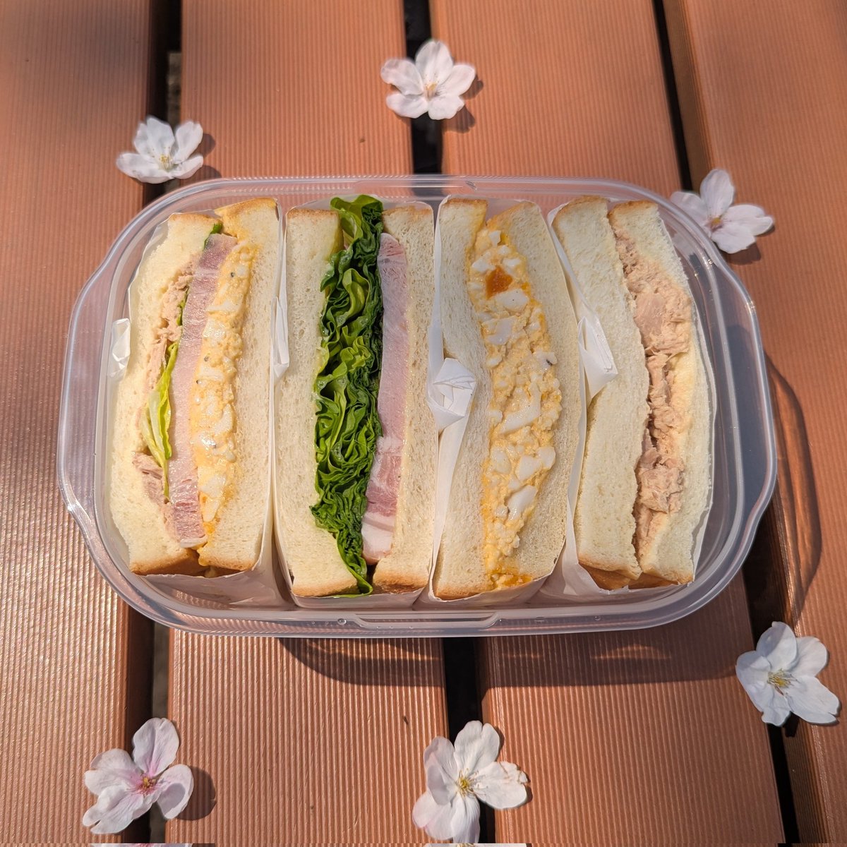 ぐらたん tweet media