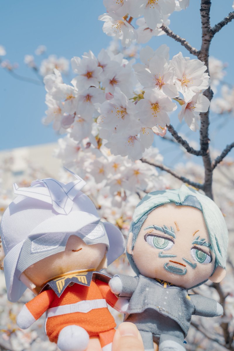 藤ノ子📸 tweet media