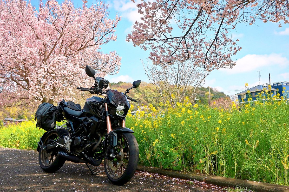 たでちゃん🏍️CB125R tweet media
