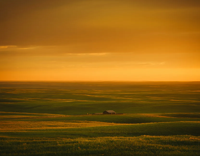 Neo Jose tweet media