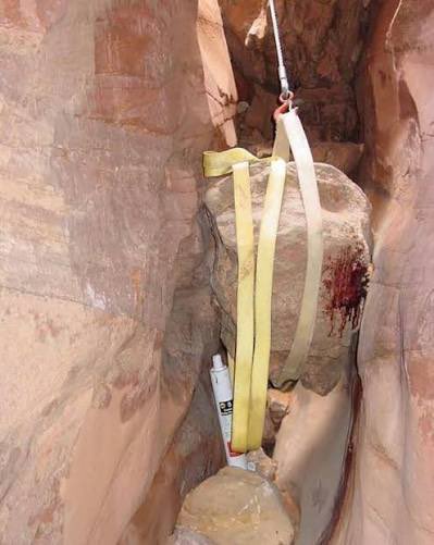 WTF Facts tweet media