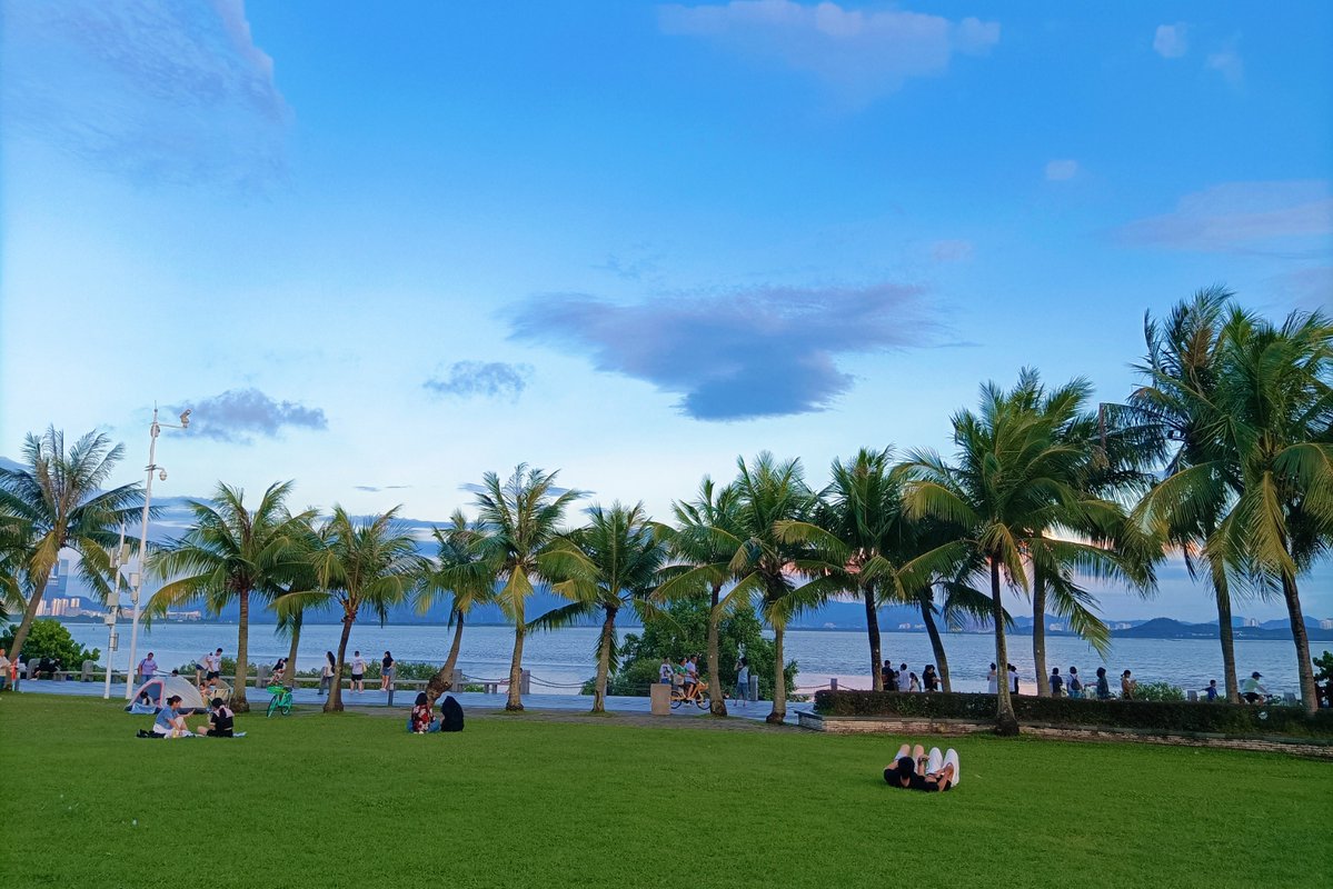 macdonald.duncan tweet media